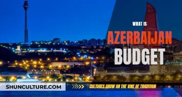 Exploring Azerbaijan's Budget: Insights and Implications