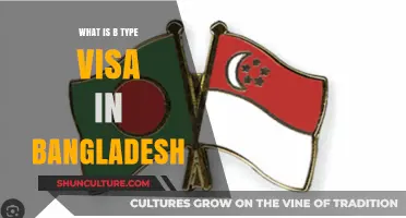 Understanding Bangladesh's B-Type Visa: Purpose, Eligibility, and Application Process