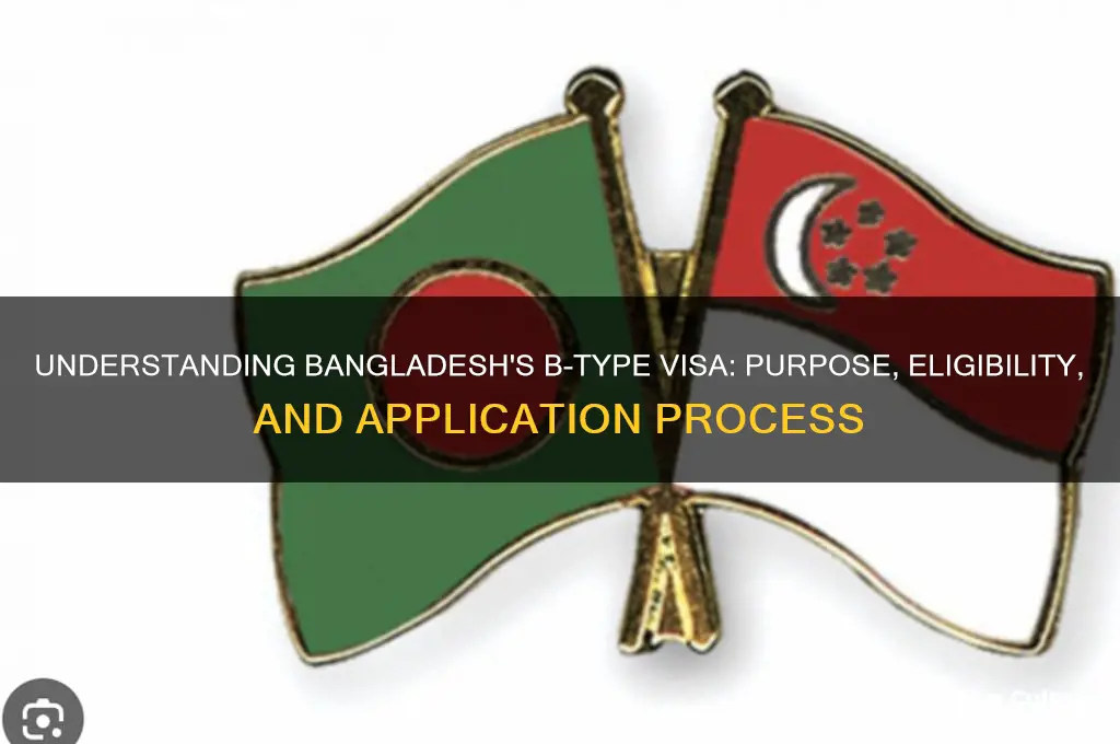what is b type visa in bangladesh