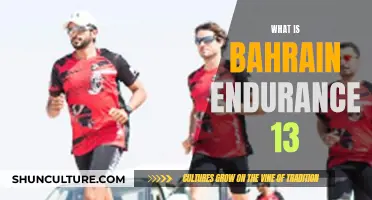 Bahrain Endurance 13: Unveiling the Elite Triathlon Team