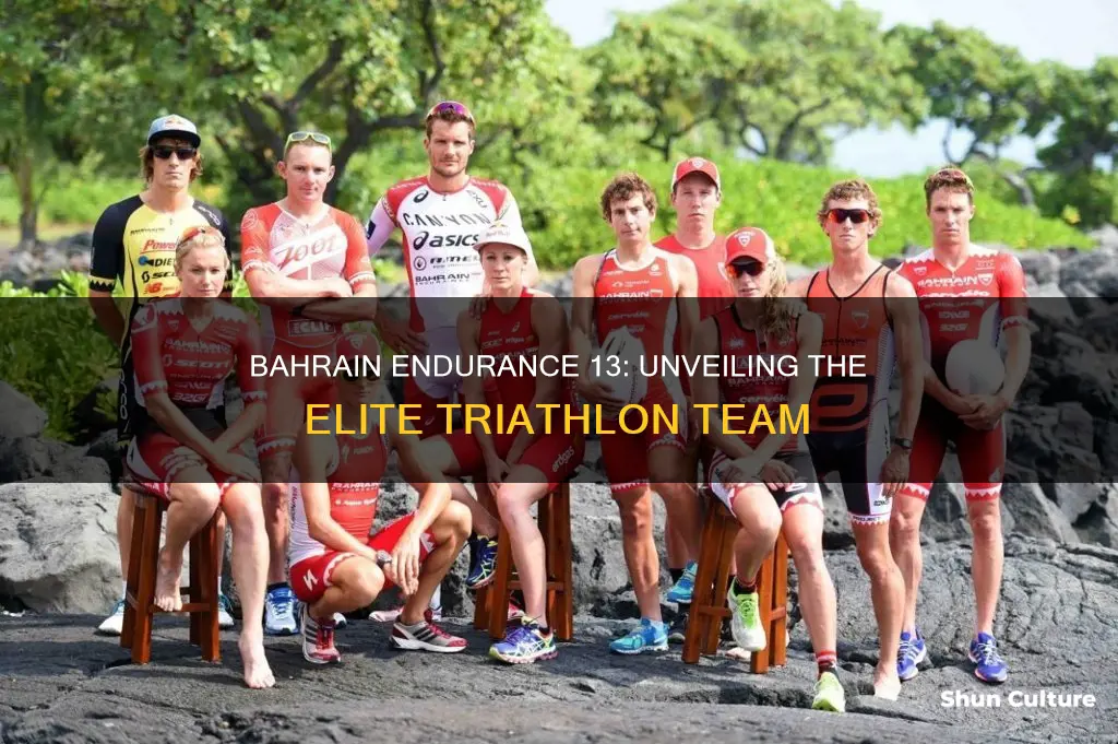 what is bahrain endurance 13