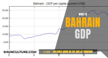 Bahrain's GDP: Understanding the Country's Economic Growth