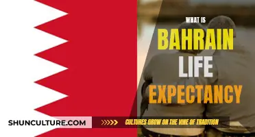 Exploring Life Expectancy in Bahrain