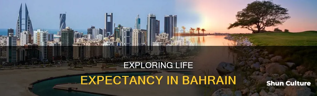 what is bahrain life expectancy