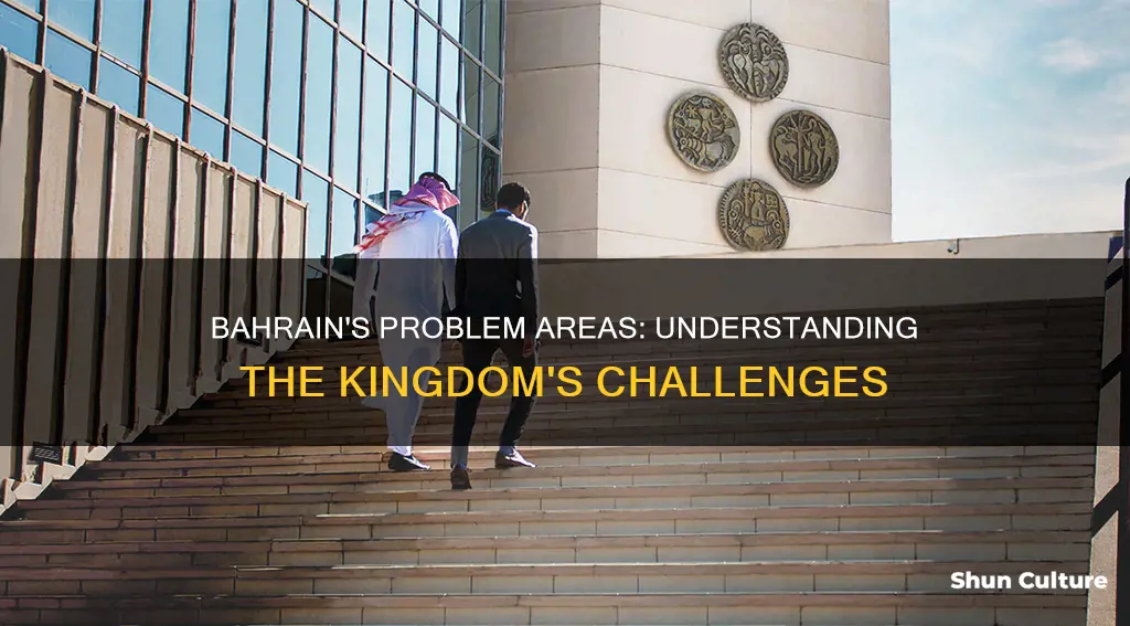 what is bahrain problem areas