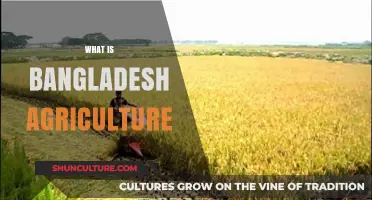 Exploring Bangladesh's Agriculture: Crops, Challenges, and Economic Impact