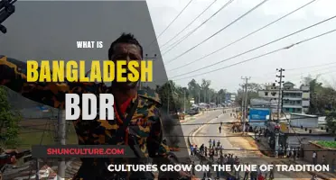 Understanding Bangladesh BDR: History, Role, and Significance Explained