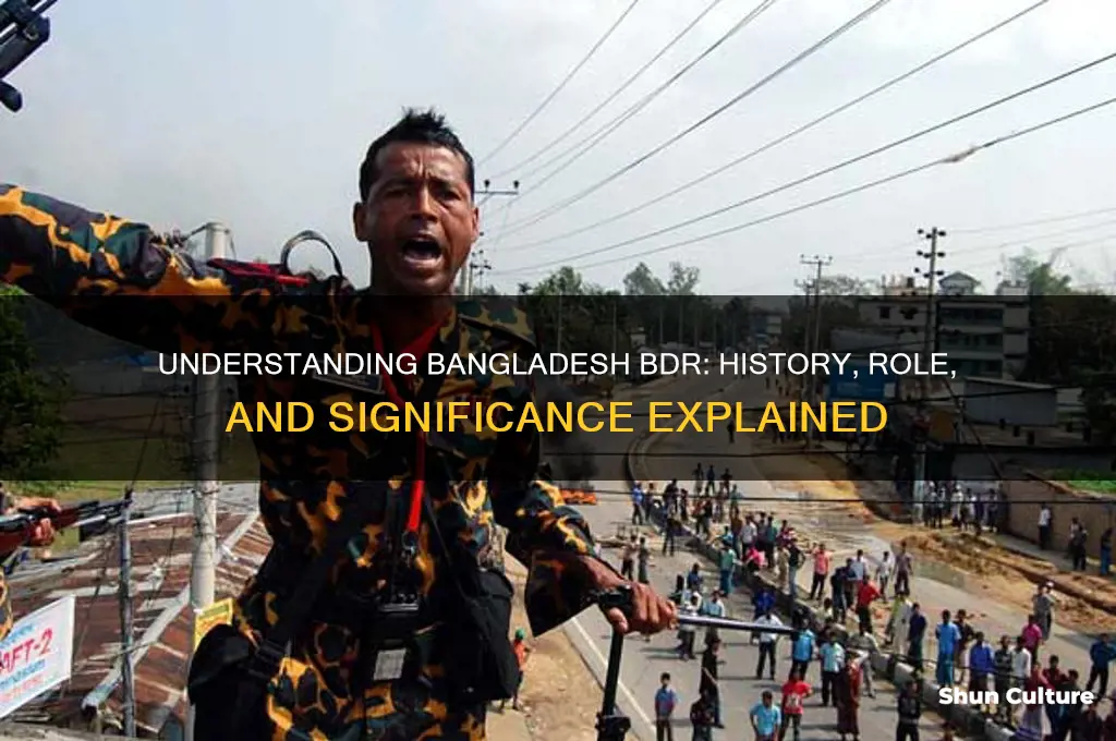 what is bangladesh bdr