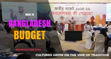 Understanding Bangladesh's National Budget: Key Insights and Allocations