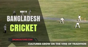 Exploring Bangladesh Cricket: History, Achievements, and Rising Global Impact