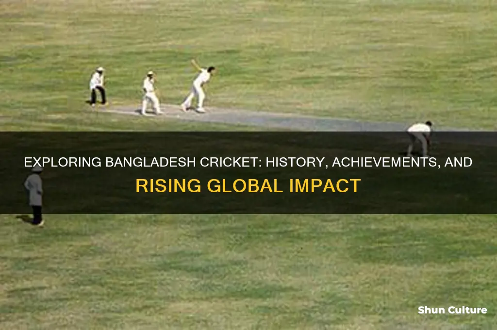 what is bangladesh cricket
