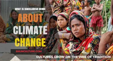 Bangladesh's Climate Action: Strategies, Challenges, and Progress in Adaptation