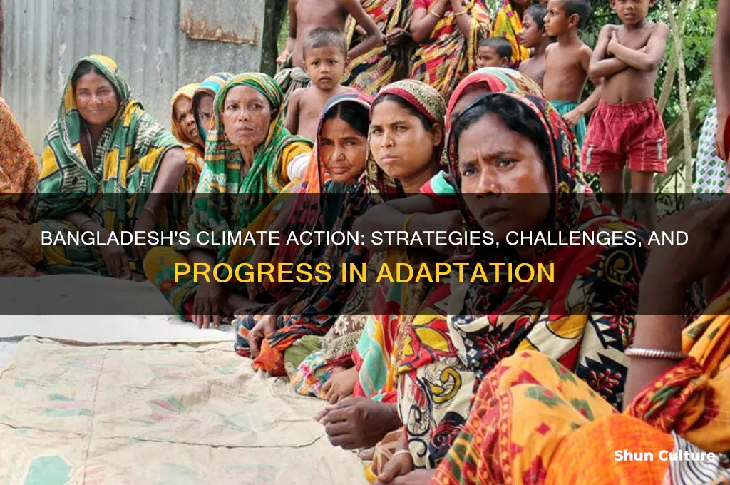 what is bangladesh doing about climate change