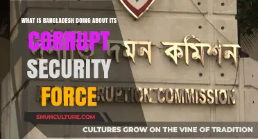 Bangladesh's Anti-Corruption Measures: Tackling Security Force Integrity Challenges