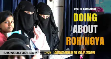 Bangladesh's Rohingya Response: Humanitarian Efforts and International Cooperation
