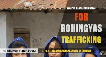 Bangladesh's Efforts to Combat Rohingya Trafficking: Strategies and Challenges
