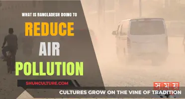 Bangladesh's Fight Against Air Pollution: Strategies and Progress