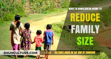 Bangladesh's Strategies to Reduce Family Size: Policies and Progress