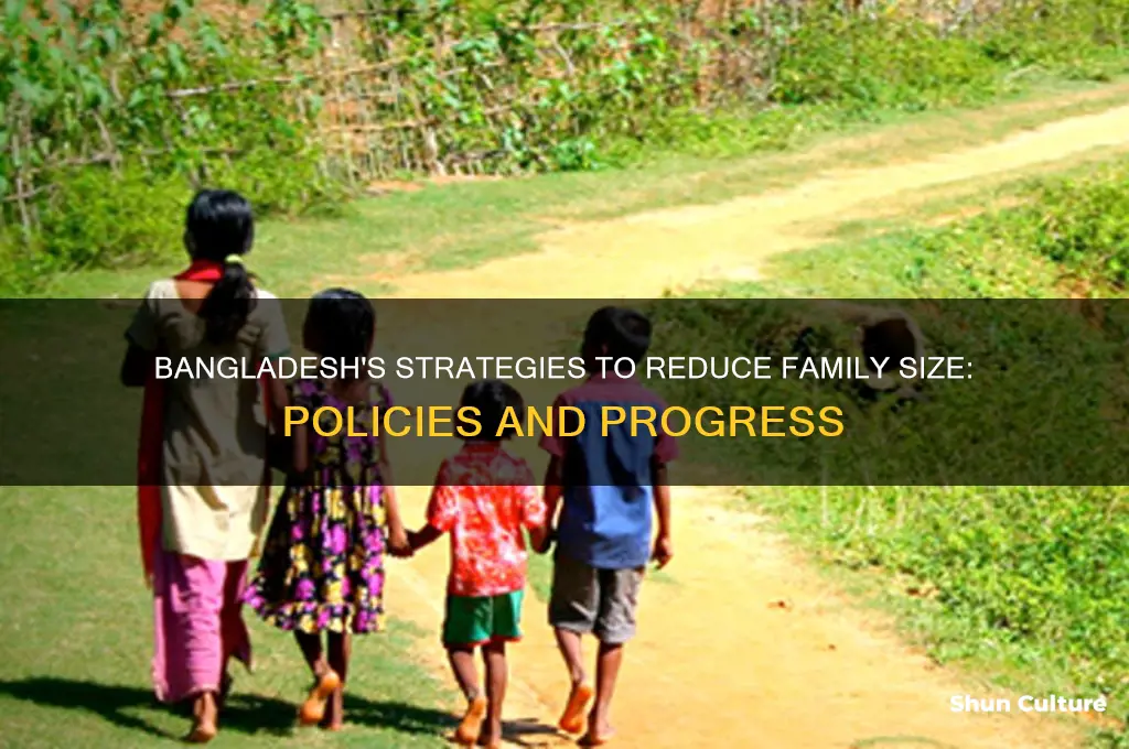 what is bangladesh doing to reduce family size