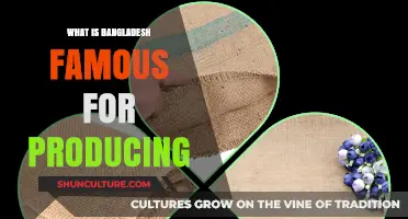 Bangladesh's Top Exports: From Textiles to Jute and Beyond