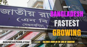 Bangladesh's Rapid Growth: Unveiling the Fastest-Growing Sectors and Industries