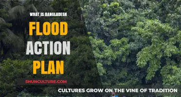 Understanding Bangladesh's Flood Action Plan: Strategies, Impact, and Future Goals