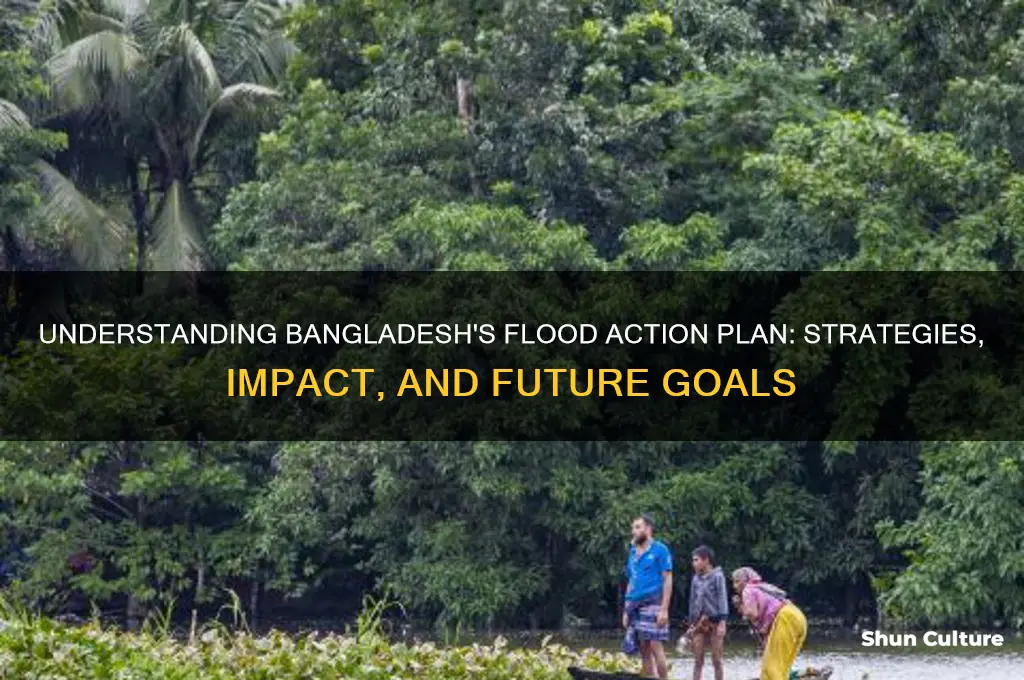 what is bangladesh flood action plan
