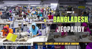 Understanding Bangladesh Jeopardy: Challenges, Impact, and Solutions Explained