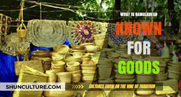 Bangladesh's Renowned Exports: Textiles, Jute, and Unique Handicrafts