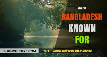 Exploring Bangladesh's Rich Culture, History, and Natural Wonders