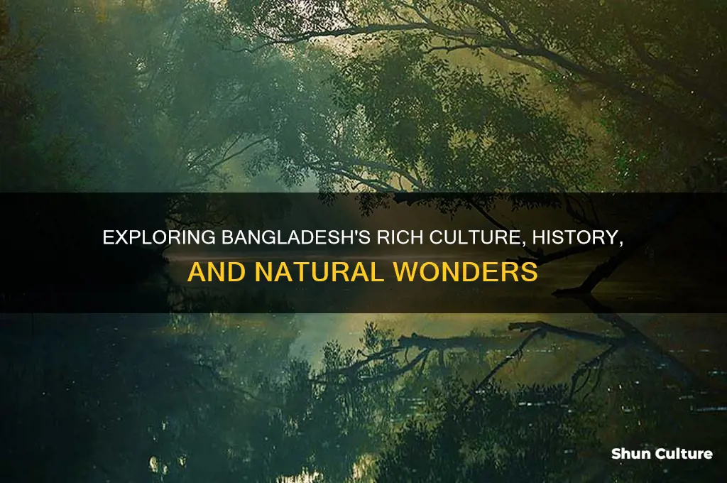 what is bangladesh known for