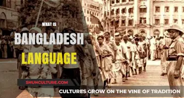 Exploring the Richness of Bangladesh's Official Language: Bengali