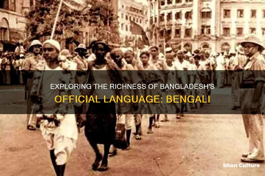 what is bangladesh language