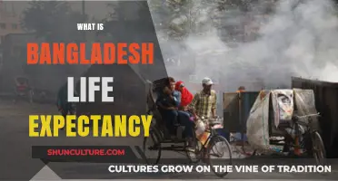 Exploring Bangladesh's Life Expectancy: Trends, Factors, and Future Outlook