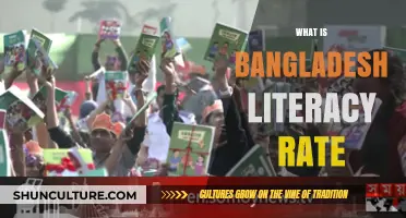 Exploring Bangladesh's Literacy Rate: Progress, Challenges, and Future Prospects