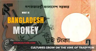 Understanding Bangladesh's Currency: Taka's Value, History, and Usage Explained