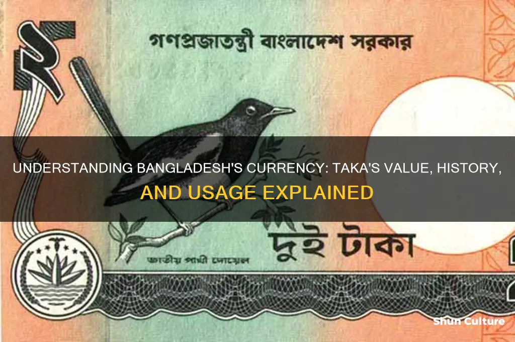 what is bangladesh money