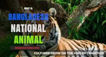 The Majestic Bengal Tiger: Bangladesh's Iconic National Animal Explained