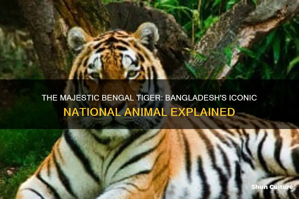 what is bangladesh national animal