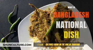 Exploring Bangladesh's Culinary Pride: The National Dish You Must Try
