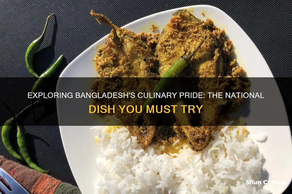 what is bangladesh national dish