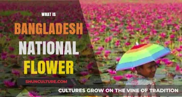 The Beauty and Significance of Bangladesh's National Flower: The Water Lily