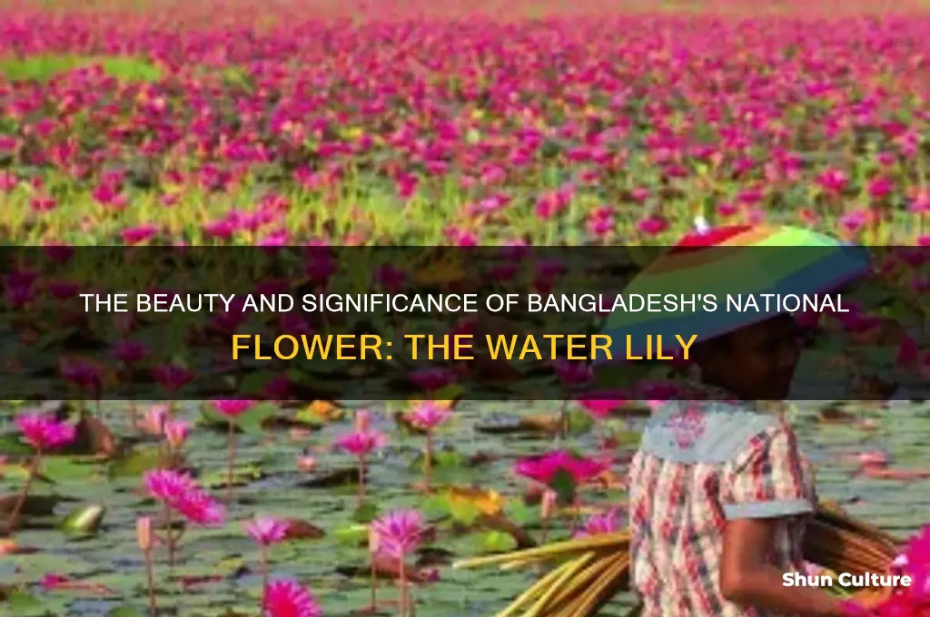 what is bangladesh national flower