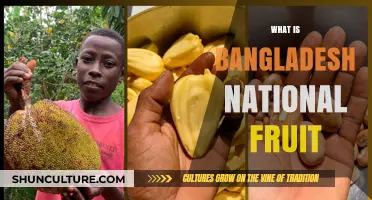 Discovering Bangladesh's National Fruit: The Jackfruit's Cultural Significance