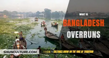 Understanding Bangladesh Overruns: Causes, Impacts, and Solutions Explained