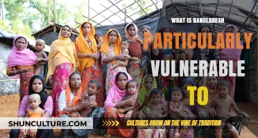 Bangladesh's Vulnerability: Climate Change, Disasters, and Socioeconomic Challenges Explained