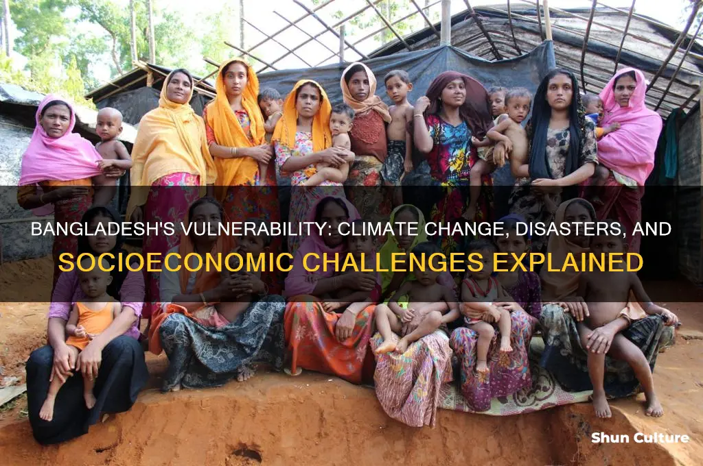 what is bangladesh particularly vulnerable to