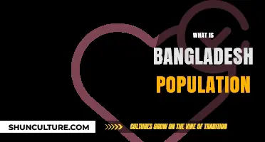 Exploring Bangladesh's Population: Trends, Growth, and Demographics Revealed