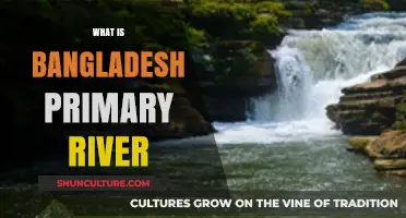 Exploring Bangladesh's Lifeline: The Primary River Shaping Its Landscape