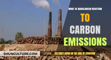 Bangladesh's Bold Response to Rising Carbon Emissions: Strategies and Challenges